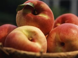 Mableton Georgia Repossession Service